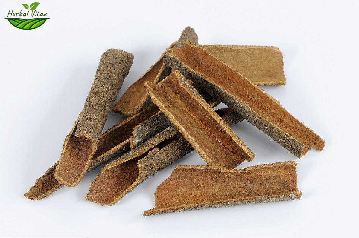Astragalus Root